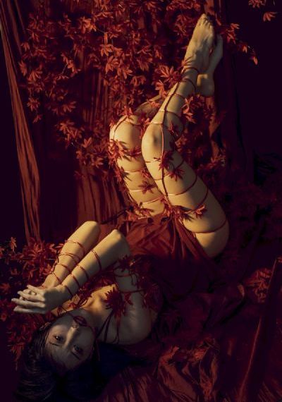 四川少妇揉bbw搡bbbb_免费追剧在线观看