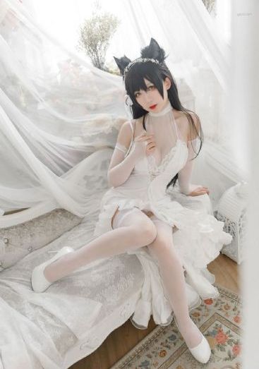 1080P在线观看_BD在线观看电视